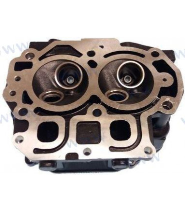 CYLINDER HEAD ASSY -COMPLETE