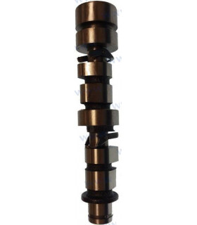 CAMSHAFT ASSY