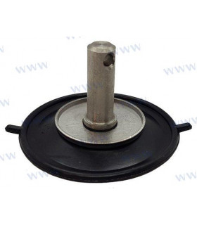 DIAPHRAGM ASSY