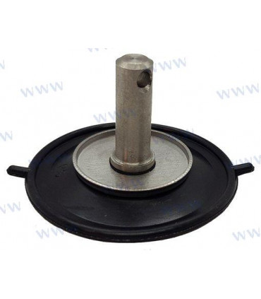 DIAPHRAGM ASSY