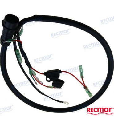 CDI CABLE ASSY (10 PIN)