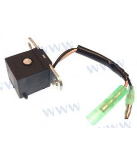PULSER COIL ASSY