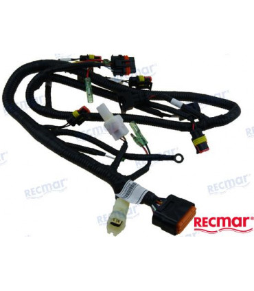 ECU CABLE ASSY