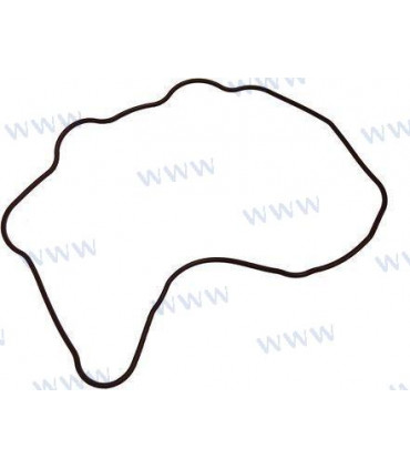 SEAL RING,CYLINDER HEAD COVER