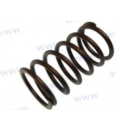 SPRING, VALVE STEM