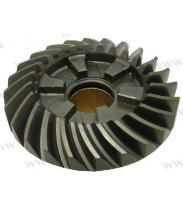 FORWARD GEAR ASSY