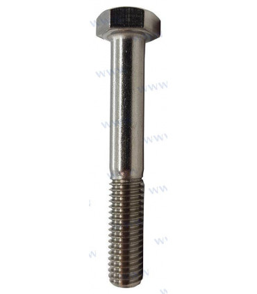 BOLT  HEXAGON M8X55