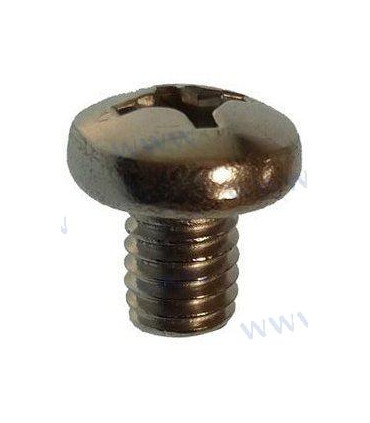 SCREW PAN HEAD M6X8