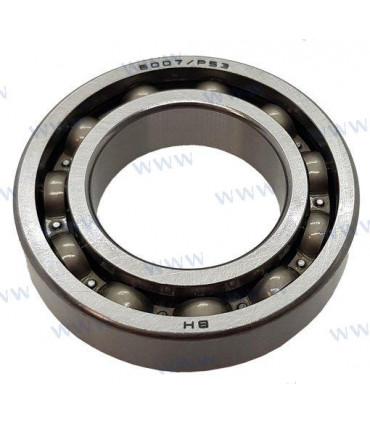 BEARING 6007