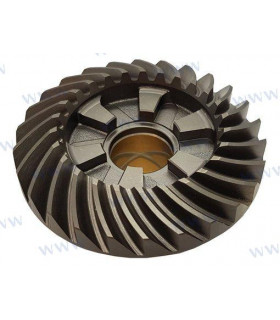 FORWARD GEAR ASSY