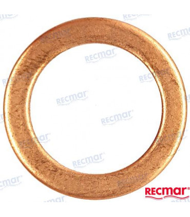 GASKET DRAIN OIL