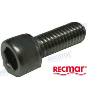 SCREW COVER