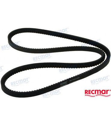 ALTERNATOR BELT