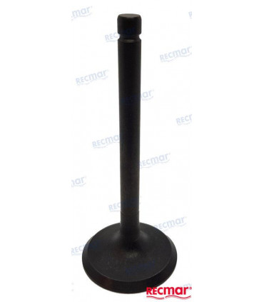 INTAKE VALVE