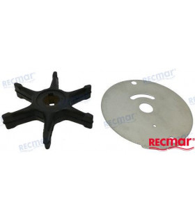IMPELLER AND COVER