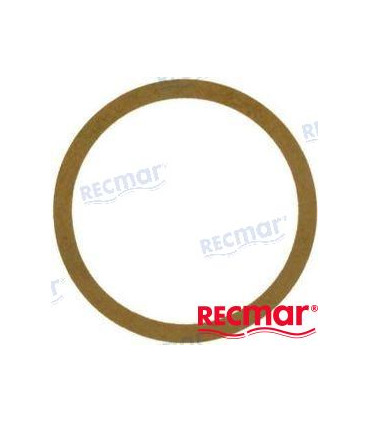 THERMOSTAT GASKET