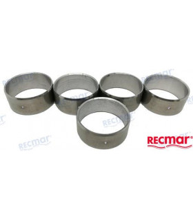 KIT BEARING: CAMSHAFT 454  MKIV