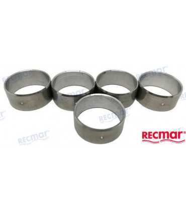 KIT BEARING: CAMSHAFT 454  MKIV