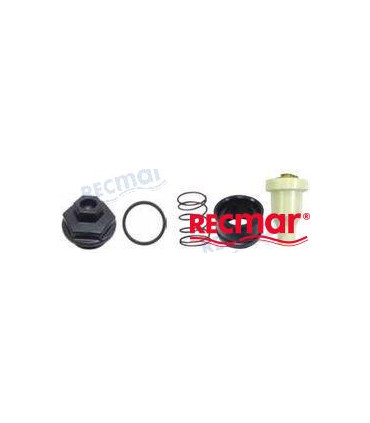 THERMOSTAT KIT