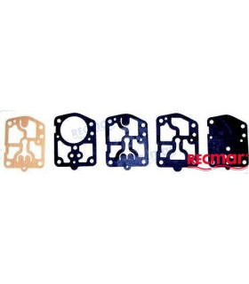 DIAPHRAGM & GASKET KIT