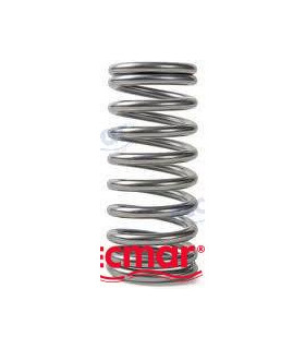 VALVE SPRING