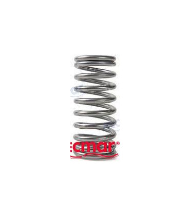 VALVE SPRING
