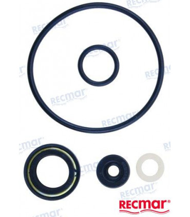 LOWER UNIT SEAL KIT