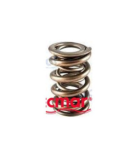 VALVE SPRING