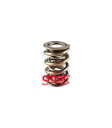 VALVE SPRING
