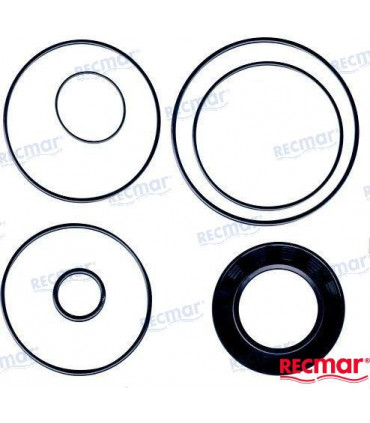 DRIVES U-JOINT SEAL KIT