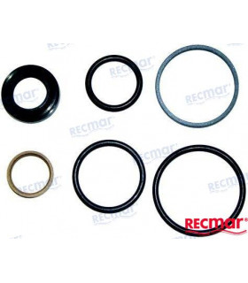 GASKET SET STEERING PISTON DPH/DPR
