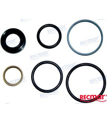 GASKET SET STEERING PISTON DPH/DPR
