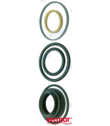 SEAL KIT POWER TRIM DPS-A/SX-A