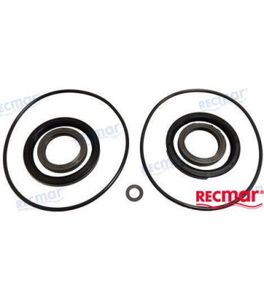 SEAL KIT LOWER UNIT DPH, DPH-D