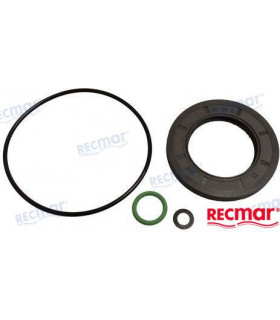 GASKET SET LOWER UNIT DPH
