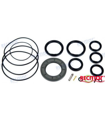 SEAL KIT COMPLETE UNIT LOWER UNIT DPH-D