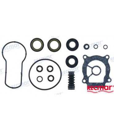 LOWER UNIT SEAL KIT
