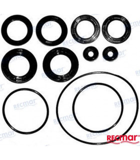 LOWER UNIT SEAL KIT