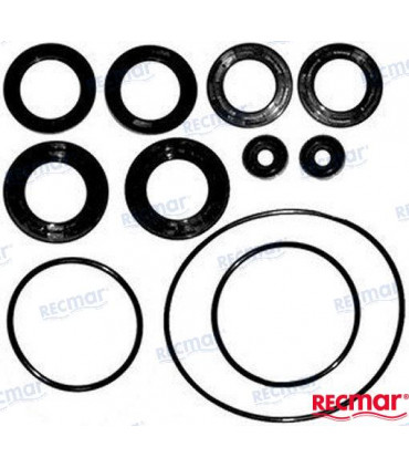 LOWER UNIT SEAL KIT