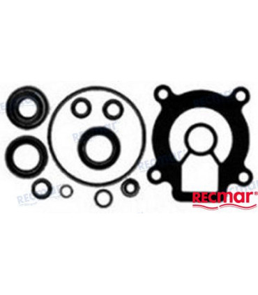 LOWER UNIT SEAL KIT