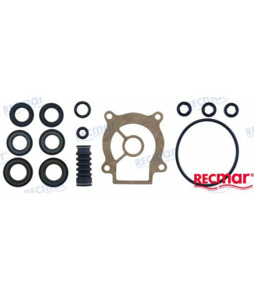 LOWER UNIT SEAL KIT