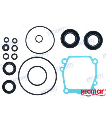 LOWER UNIT SEAL KIT