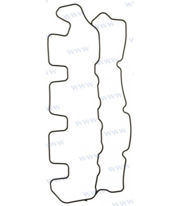 VALVE COVER GASKET D2