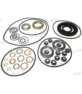 GASKET KIT MS1