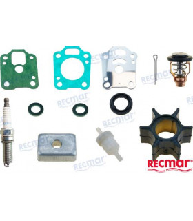 MERCURY MAINTENANCE KIT
