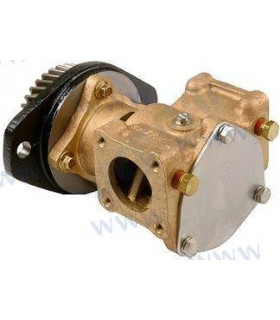 CUMMINS WATER PUMP
