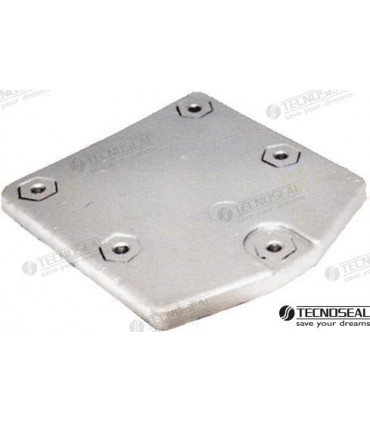 PLATE FOR ZEUS DRIVE