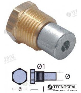 ANODES WITH PLUG SERIE BOILER ½” BSPT