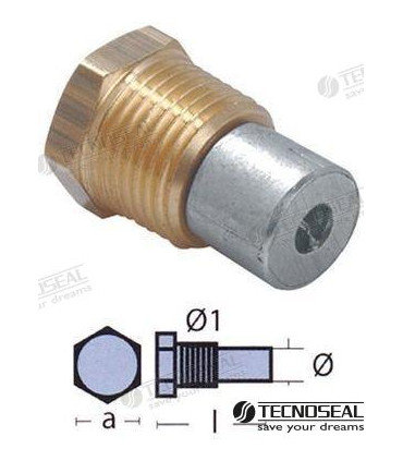 ANODES WITH PLUG SERIE BOILER ½” BSPT