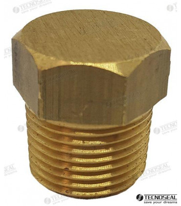 PLUG BRASS FOR ANODE ONAN